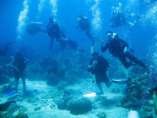 深物业A上涨5.09%，报9.29元/股