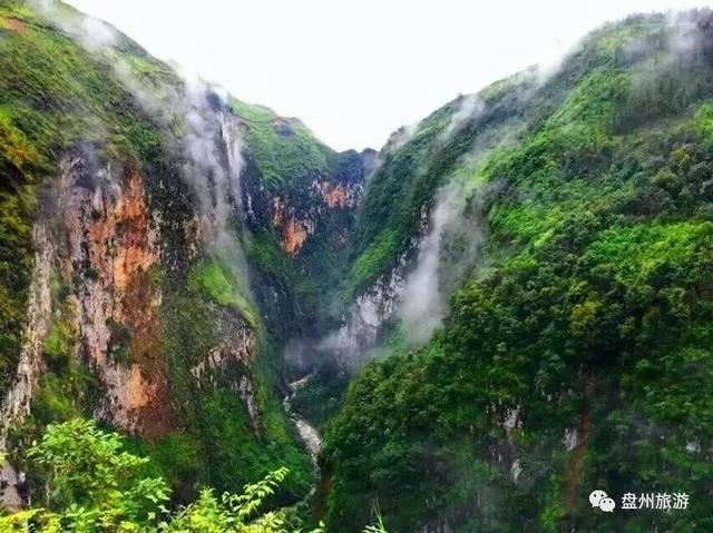为什么建议糖友要少吃精白米面?专业营养师这样说